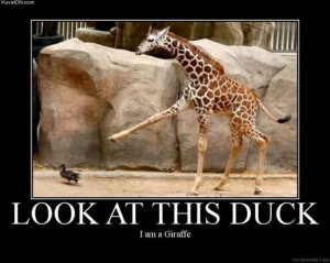 I am a giraffe