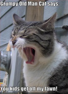 lolcat_offlawn