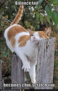 lolcat_balancefail
