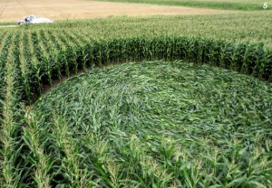 Get it? Get it? Missing rows?