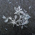Snow_Flakes
