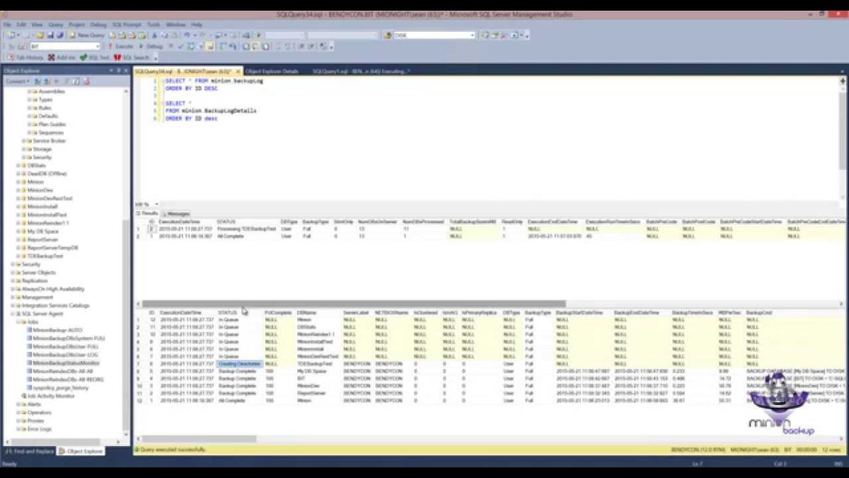 Minion Backup: Status Monitor